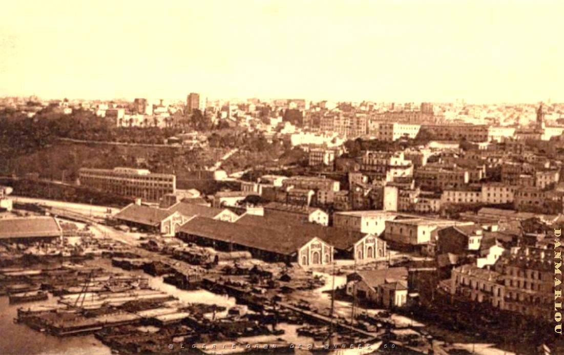 PO e- 066.jpg